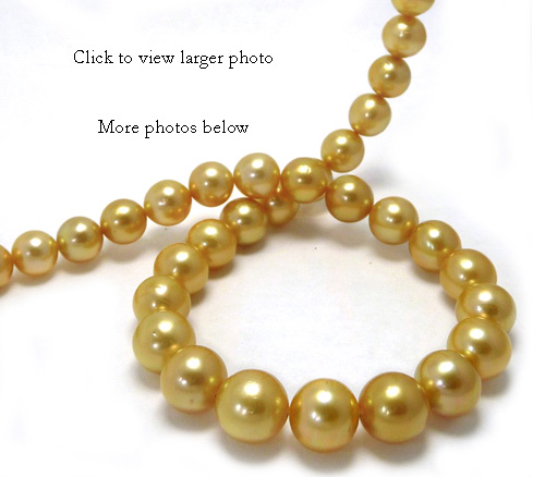Deep Golden South Sea Pearl Necklace