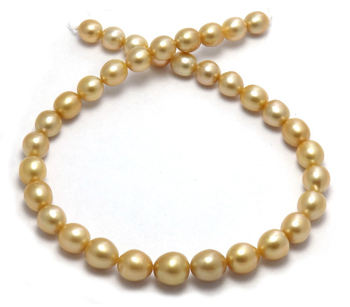 Deep  golden South pearl necklace