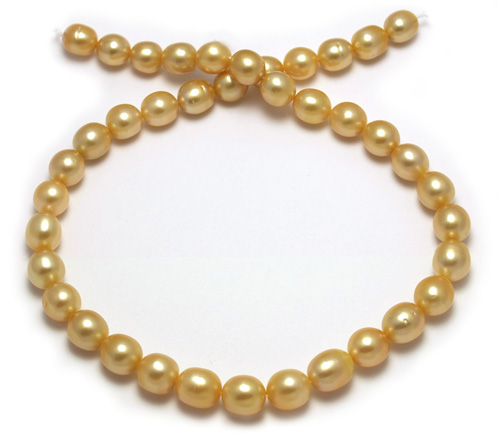 Intense deep golden South Sea pearl necklace