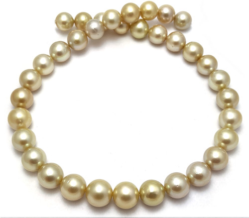 round golden South pearl necklace