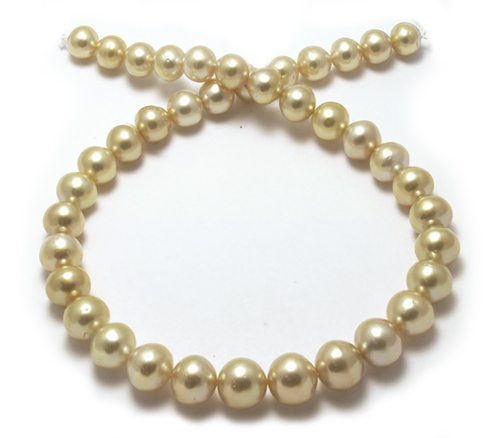 Off round Medium golden South Sea pearl necklace