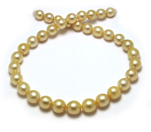 Intense deep golden South Sea pearl necklace