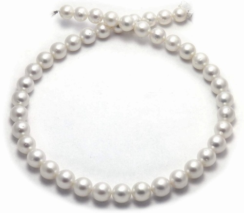 Bargain South Sea Pearl necklace