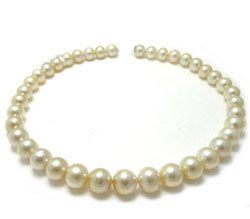 Cream South Sea Pearl Necklace