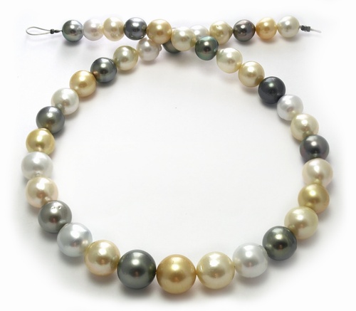 Multi Color South Sea Pearl necklace with Black Pearls