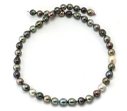 Multi Color Tahitian Pearl Necklace