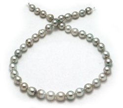 LIght Gray Tahitian Pearl Necklace